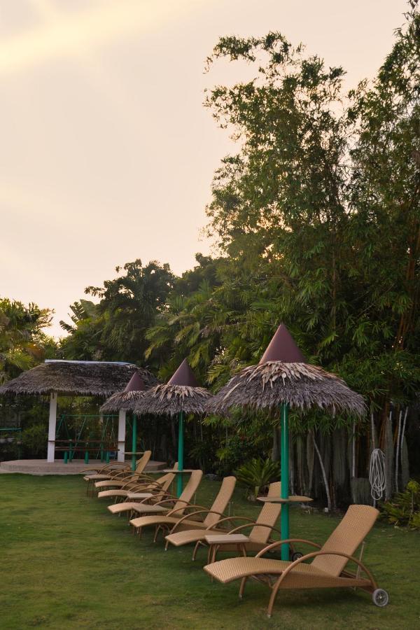 Marcosas Cottages Resort Moalboal Zewnętrze zdjęcie